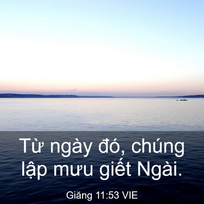 Picture 03 - Giăng 11:53 VIE - Từ ngày đó, chúng lập mưu giết - Bible Verse Picture