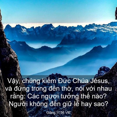 Picture 03 - Giăng 11:56 VIE - Vậy, chúng kiếm Đức Chúa Jêsus, và - Bible Verse Picture