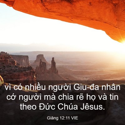 Picture 03 - Giăng 12:11 VIE - vì có nhiều người Giu-đa nhân cớ - Bible Verse Picture