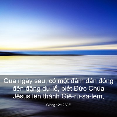 Picture 03 - Giăng 12:12 VIE - Qua ngày sau, có một đám dân đông đến - Bible Verse Picture
