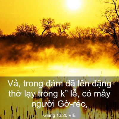 Picture 03 - Giăng 12:20 VIE - Vả, trong đám đã lên đặng thờ lạy - Bible Verse Picture