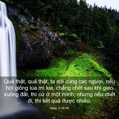 Picture 03 - Giăng 12:24 VIE - Quả thật, quả thật, ta nói cùng các - Bible Verse Picture