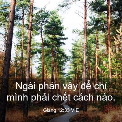 Picture 03 - Giăng 12:33 VIE - Ngài phán vậy để chỉ mình phải chết - Bible Verse Picture