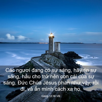 Picture 03 - Giăng 12:36 VIE - Các ngươi đang có sự sáng, hãy tin sự - Bible Verse Picture