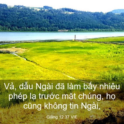 Picture 03 - Giăng 12:37 VIE - Vả, dẫu Ngài đã làm bấy nhiêu phép - Bible Verse Picture