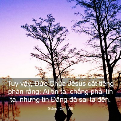Picture 03 - Giăng 12:44 VIE - Tuy vậy, Đức Chúa Jêsus cất tiếng - Bible Verse Picture