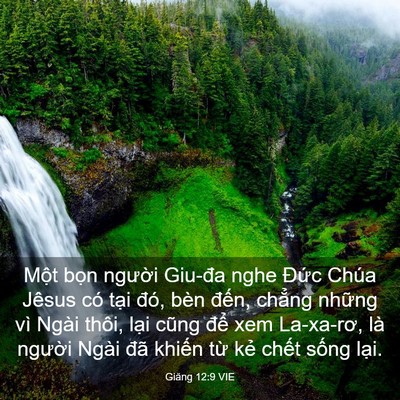 Picture 03 - Giăng 12:9 VIE - Một bọn người Giu-đa nghe Đức Chúa - Bible Verse Picture