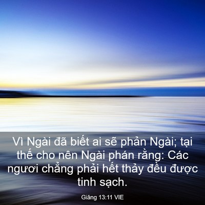 Picture 03 - Giăng 13:11 VIE - Vì Ngài đã biết ai sẽ phản Ngài; tại - Bible Verse Picture