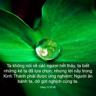 Picture 03 - Giăng 13:18 VIE - Ta không nói về các ngươi hết thảy, ta - Bible Verse Picture