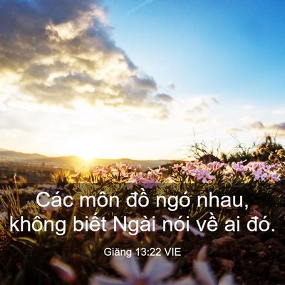 Picture 03 - Giăng 13:22 VIE - Các môn đồ ngó nhau, không biết Ngài - Bible Verse Picture