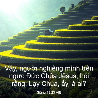 Picture 03 - Giăng 13:25 VIE - Vậy, người nghiêng mình trên ngực - Bible Verse Picture