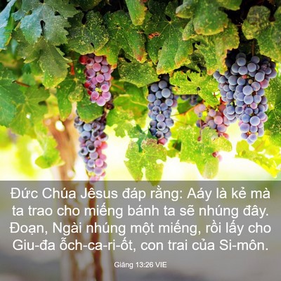 Picture 03 - Giăng 13:26 VIE - Đức Chúa Jêsus đáp rằng: Aáy là kẻ - Bible Verse Picture