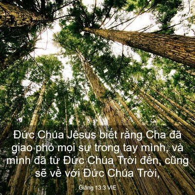 Picture 03 - Giăng 13:3 VIE - Đức Chúa Jêsus biết rằng Cha đã giao - Bible Verse Picture