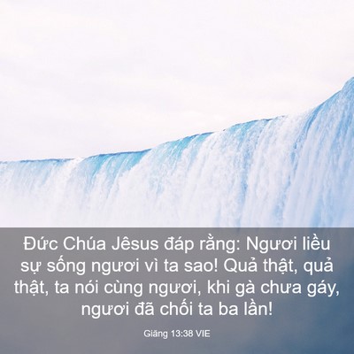 Picture 03 - Giăng 13:38 VIE - Đức Chúa Jêsus đáp rằng: Ngươi liều - Bible Verse Picture