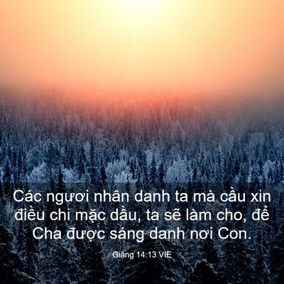 Picture 03 - Giăng 14:13 VIE - Các ngươi nhân danh ta mà cầu xin điều - Bible Verse Picture
