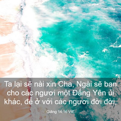 Picture 03 - Giăng 14:16 VIE - Ta lại sẽ nài xin Cha, Ngài sẽ ban cho - Bible Verse Picture