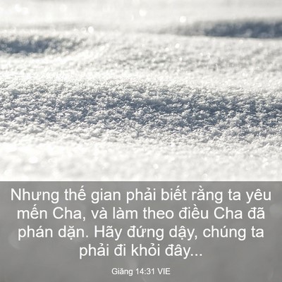Picture 03 - Giăng 14:31 VIE - Nhưng thế gian phải biết rằng ta yêu - Bible Verse Picture