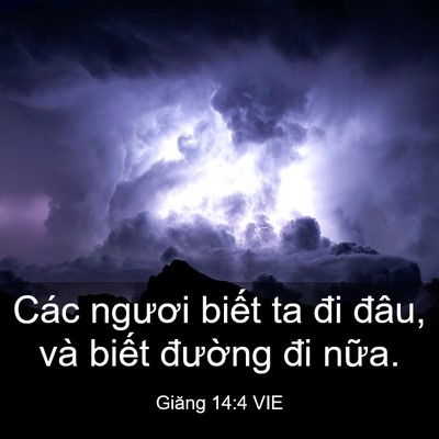 Picture 03 - Giăng 14:4 VIE - Các ngươi biết ta đi đâu, và biết - Bible Verse Picture