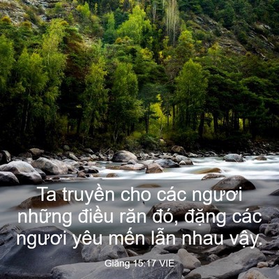 Picture 03 - Giăng 15:17 VIE - Ta truyền cho các ngươi những điều răn - Bible Verse Picture