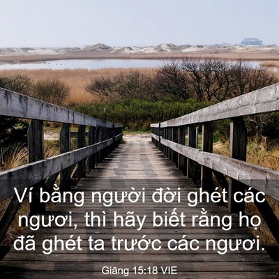 Picture 03 - Giăng 15:18 VIE - Ví bằng người đời ghét các ngươi, - Bible Verse Picture