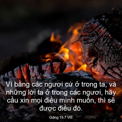 Picture 03 - Giăng 15:7 VIE - Ví bằng các ngươi cứ ở trong ta, và - Bible Verse Picture