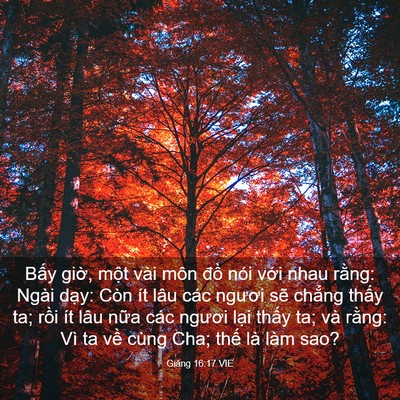 Picture 03 - Giăng 16:17 VIE - Bấy giờ, một vài môn đồ nói với - Bible Verse Picture