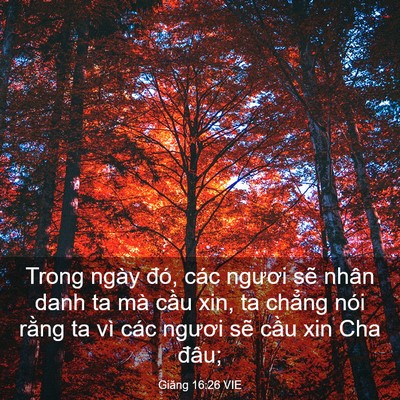 Picture 03 - Giăng 16:26 VIE - Trong ngày đó, các ngươi sẽ nhân danh ta - Bible Verse Picture