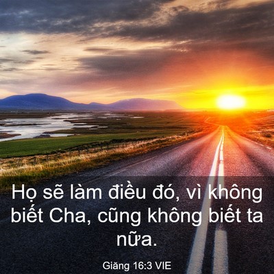 Picture 03 - Giăng 16:3 VIE - Họ sẽ làm điều đó, vì không biết - Bible Verse Picture