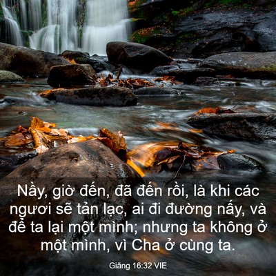 Picture 03 - Giăng 16:32 VIE - Nầy, giờ đến, đã đến rồi, là khi - Bible Verse Picture