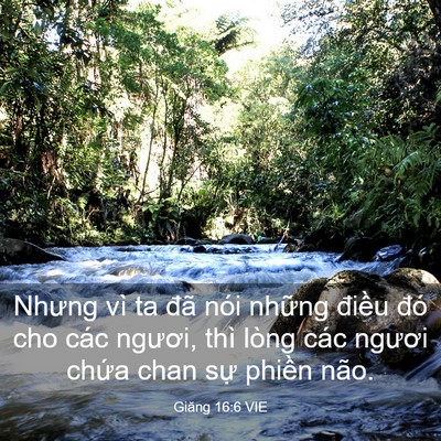 Picture 03 - Giăng 16:6 VIE - Nhưng vì ta đã nói những điều đó cho - Bible Verse Picture