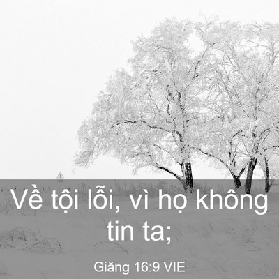 Picture 03 - Giăng 16:9 VIE - Về tội lỗi, vì họ không tin - Bible Verse Picture