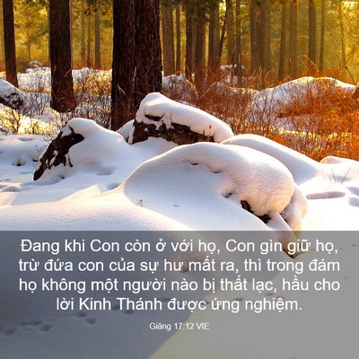 Picture 03 - Giăng 17:12 VIE - Đang khi Con còn ở với họ, Con gìn giữ - Bible Verse Picture