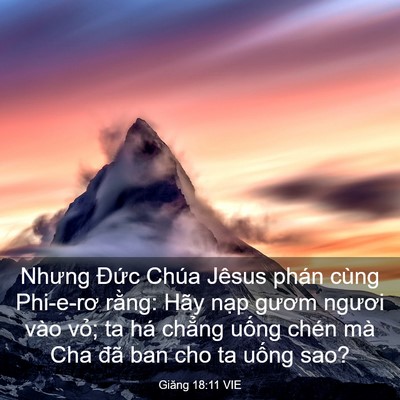 Picture 03 - Giăng 18:11 VIE - Nhưng Đức Chúa Jêsus phán cùng Phi-e-rơ - Bible Verse Picture