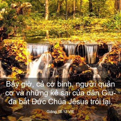 Picture 03 - Giăng 18:12 VIE - Bấy giờ, cả cơ binh, người quản cơ - Bible Verse Picture