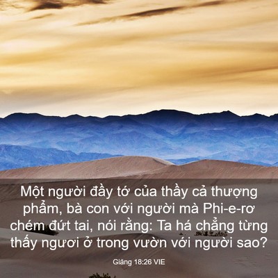 Picture 03 - Giăng 18:26 VIE - Một người đầy tớ của thầy cả - Bible Verse Picture