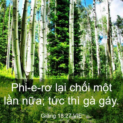 Picture 03 - Giăng 18:27 VIE - Phi-e-rơ lại chối một lần nữa; tức - Bible Verse Picture