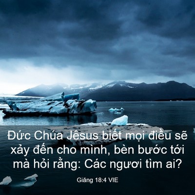 Picture 03 - Giăng 18:4 VIE - Đức Chúa Jêsus biết mọi điều sẽ - Bible Verse Picture