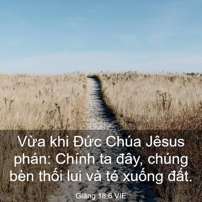 Picture 03 - Giăng 18:6 VIE - Vừa khi Đức Chúa Jêsus phán: Chính ta - Bible Verse Picture