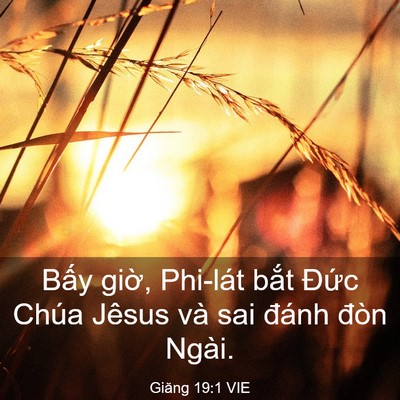 Picture 03 - Giăng 19:1 VIE - Bấy giờ, Phi-lát bắt Đức Chúa Jêsus - Bible Verse Picture