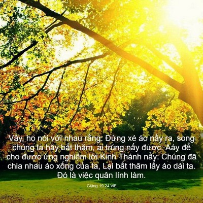 Picture 03 - Giăng 19:24 VIE - Vậy, họ nói với nhau rằng: Đừng xé - Bible Verse Picture
