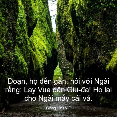 Picture 03 - Giăng 19:3 VIE - Đoạn, họ đến gần, nói với Ngài - Bible Verse Picture