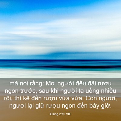 Picture 03 - Giăng 2:10 VIE - mà nói rằng: Mọi người đều đãi - Bible Verse Picture