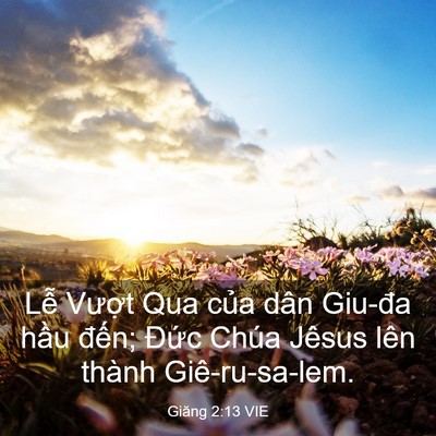 Picture 03 - Giăng 2:13 VIE - Lễ Vượt Qua của dân Giu-đa hầu đến; - Bible Verse Picture