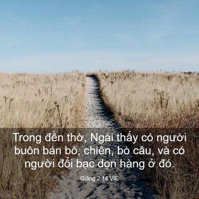 Picture 03 - Giăng 2:14 VIE - Trong đền thờ, Ngài thấy có người - Bible Verse Picture