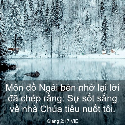 Picture 03 - Giăng 2:17 VIE - Môn đồ Ngài bèn nhớ lại lời đã - Bible Verse Picture