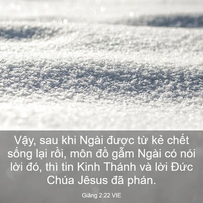 Picture 03 - Giăng 2:22 VIE - Vậy, sau khi Ngài được từ kẻ chết - Bible Verse Picture