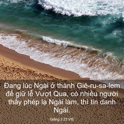Picture 03 - Giăng 2:23 VIE - Đang lúc Ngài ở thành Giê-ru-sa-lem để - Bible Verse Picture