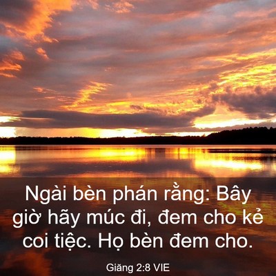 Picture 03 - Giăng 2:8 VIE - Ngài bèn phán rằng: Bây giờ hãy múc - Bible Verse Picture