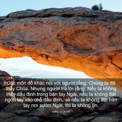 Picture 03 - Giăng 20:25 VIE - Các môn đồ khác nói với người rằng: - Bible Verse Picture