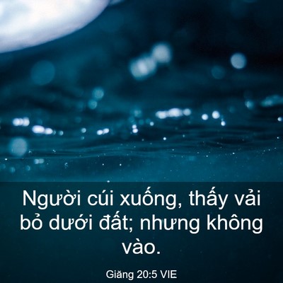 Picture 03 - Giăng 20:5 VIE - Người cúi xuống, thấy vải bỏ dưới - Bible Verse Picture